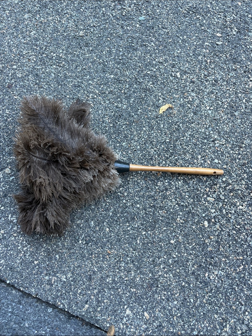 Brown Feather Duster with Wooden Handle